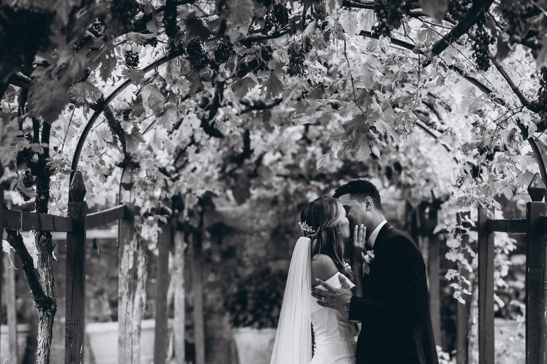 Matrimonio a BAdia a Coltibuono Marco Vegni Fotografo