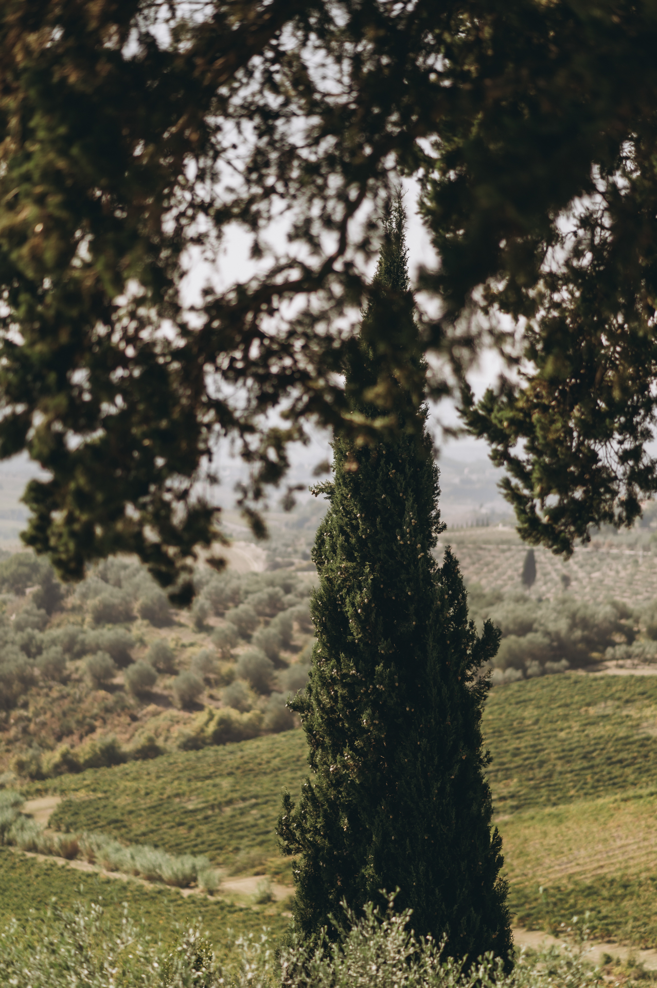 Matrimonio a Villa Il Pozzo Certaldo Marco Vgni Fotografo