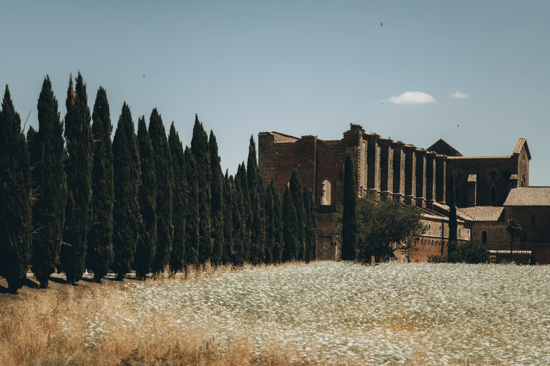 Matrimonio a San Galgano Marco Vegni Fotografo